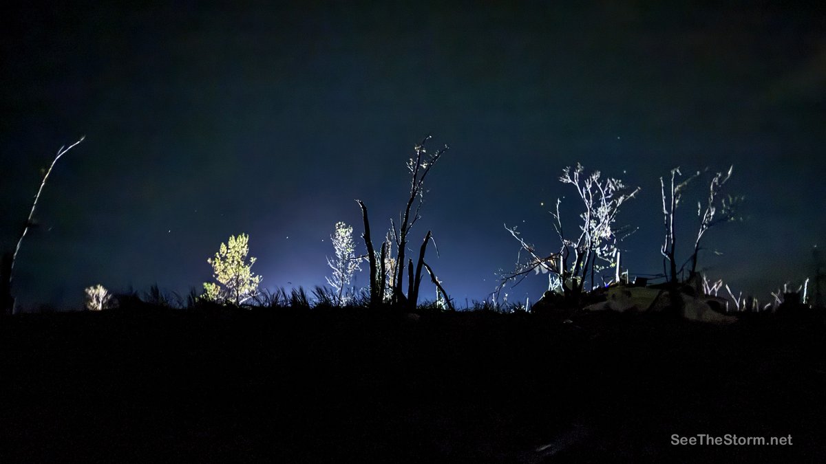 In the wake of last night's devastating tornadoes in North Dakota, our hearts are heavy. The shredded trees, most stripped bare by violent winds, stand as silent witnesses to the fragility of human and animal life. We mourn those who left us too soon, taken by storms that spare