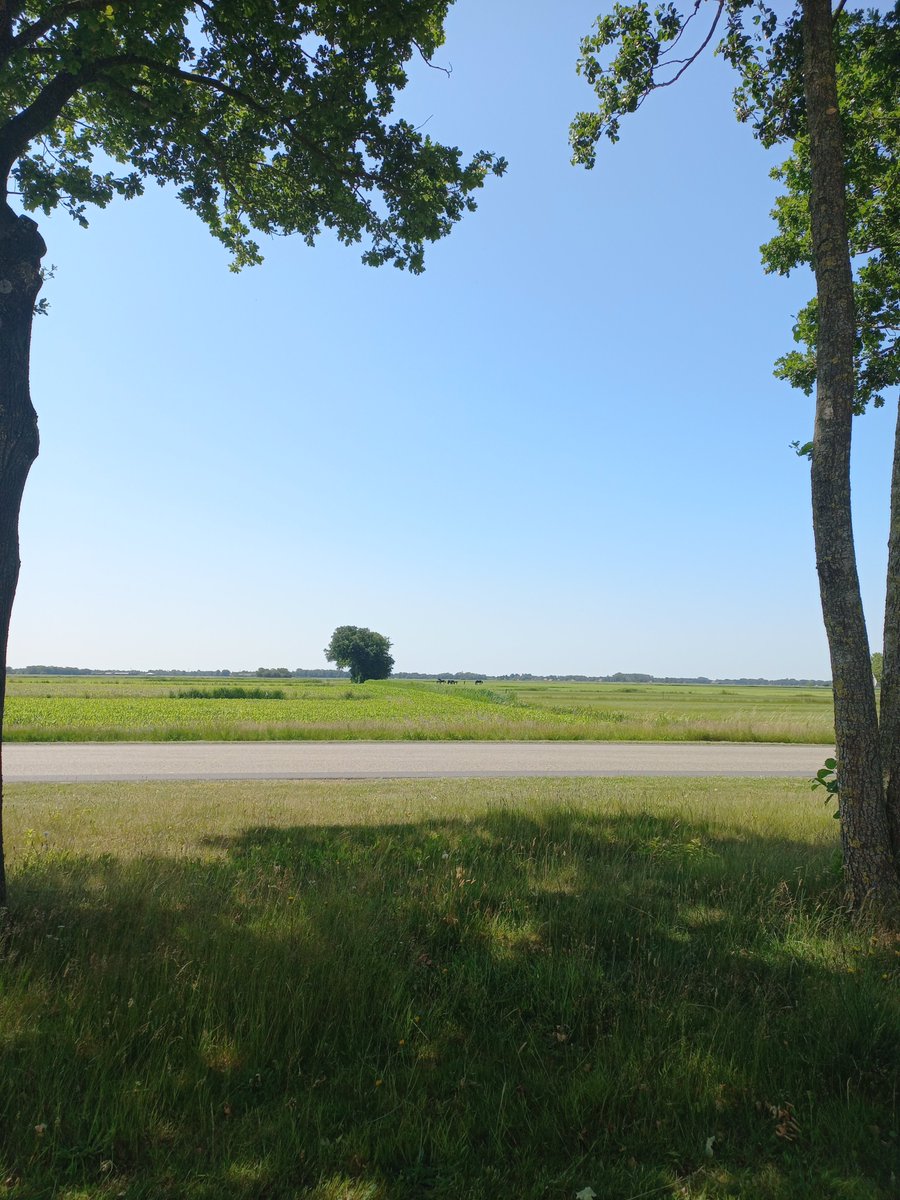 Goedemiddag, iedereen een hele mooie zomerse zaterdag gewenst.
Vandaag letterlijk hier geen wolkje aan de lucht.