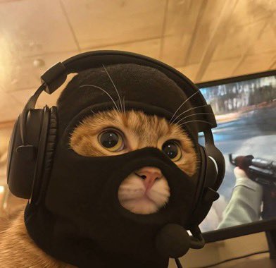 Crypto Thor 𓃵 tweet media