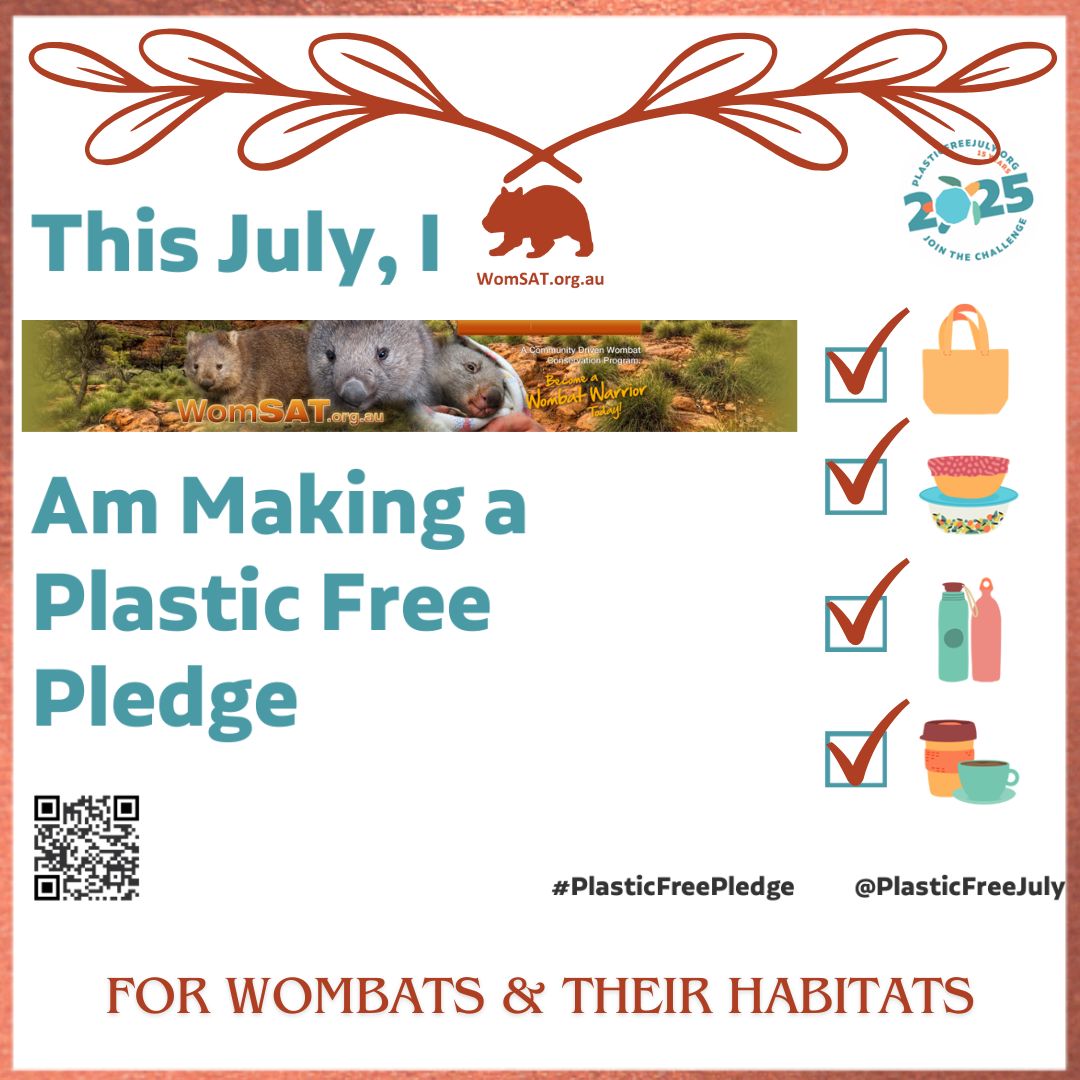 WomSAT's tweet image. This #WombatWednesday we’re celebrating @PlasticFreeJuly with a #PlasticFreePledge. Keeping #habitats plastic-free helps #wombats by:
•Protecting their #food
•Preventing harm
•Supporting #ecosystems
Less plastic means safer, healthier homes for wombats.