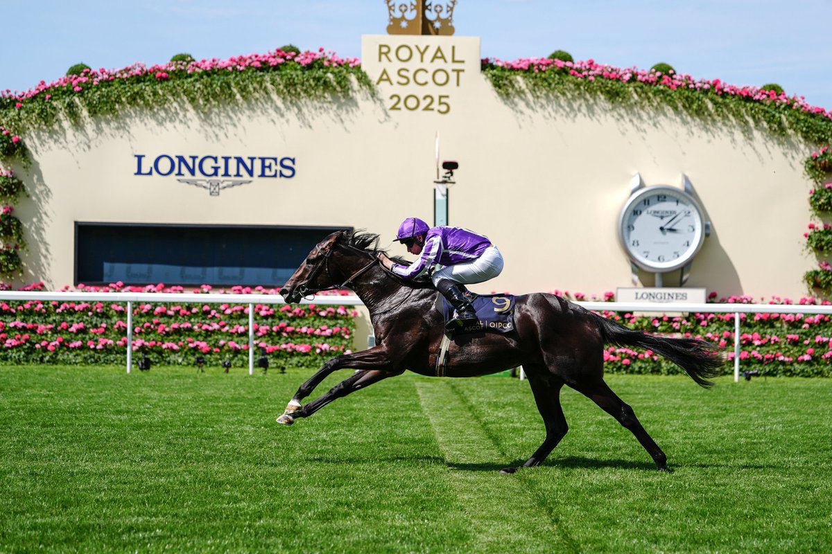 2003 Choisir ✈️ from Australia to land the double at Royal Ascot, then 2010 his son Starspangledbanner ✈️ from Australia to win G Jubilee at Ascot. This week his son Gstaad lands the Coventry at R Ascot #Coolmore