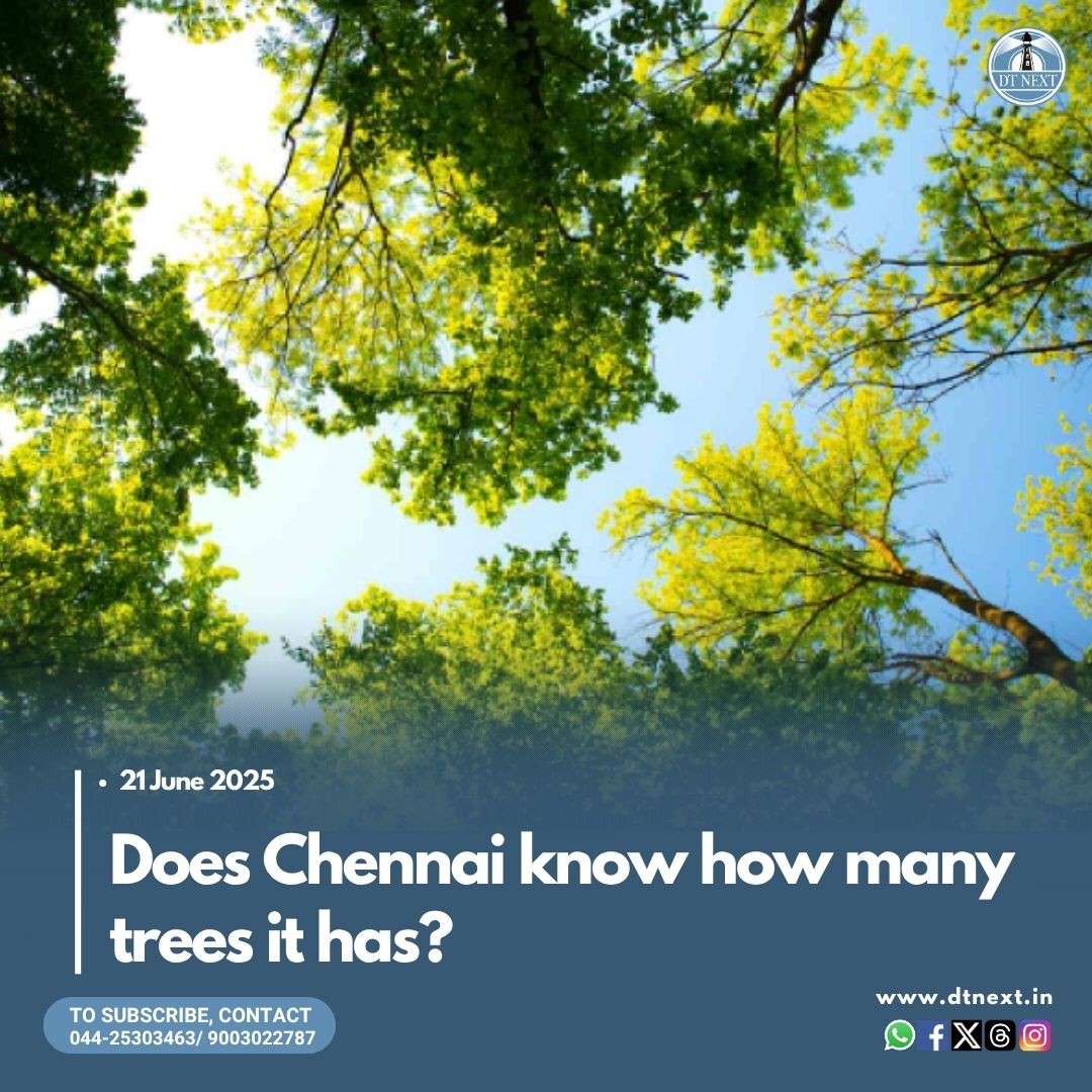 DT Next (@dt_next) on Twitter photo Chennai Corporation planted 1 lakh #Trees on #WorldEnvironmentDay, yet remains the only major metro without a #TreeCensus. Experts call for accurate data to restore green cover and guide urban planning.
🖊️ <a href="/arunprasath34_/">Arun Prasath</a>
dtnext.in/news/chennai/d…
#DTNext #Chennai #GreenCover Chennai Corporation planted 1 lakh #Trees on #WorldEnvironmentDay, yet remains the only major metro without a #TreeCensus. Experts call for accurate data to restore green cover and guide urban planning.
🖊️ <a href="/arunprasath34_/">Arun Prasath</a>
dtnext.in/news/chennai/d…
#DTNext #Chennai #GreenCover