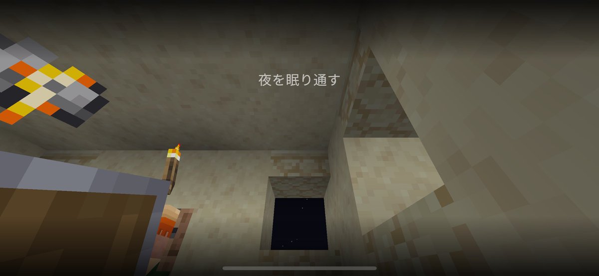 忘れかけてたけど、気持ちはRTA。でもちゃんと夜を眠り通します。村人さんすいません。一旦心落ち着かさせてくださいな。
#Minecraft #マイクラ #一宿一飯の恩2