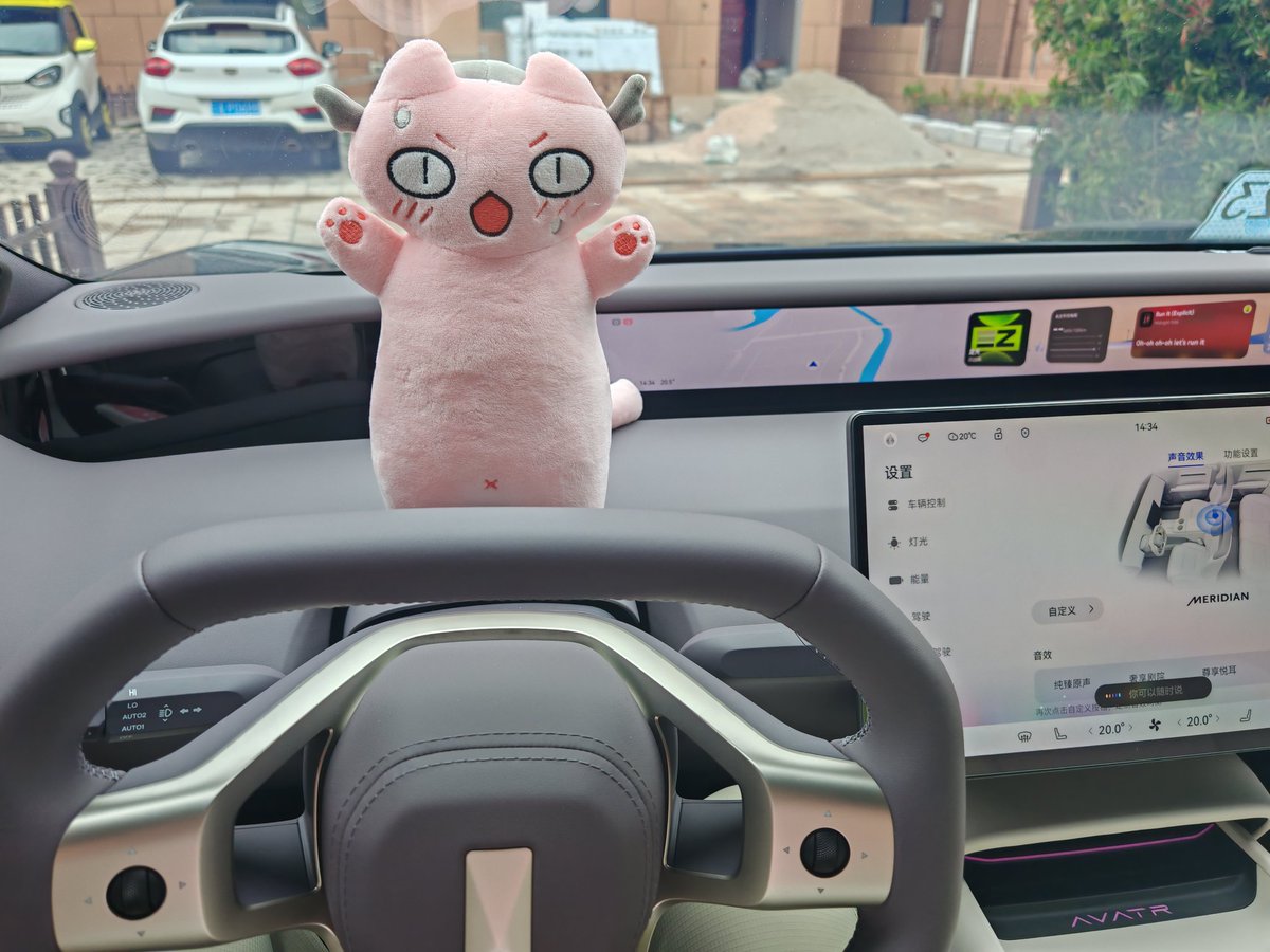 车宠