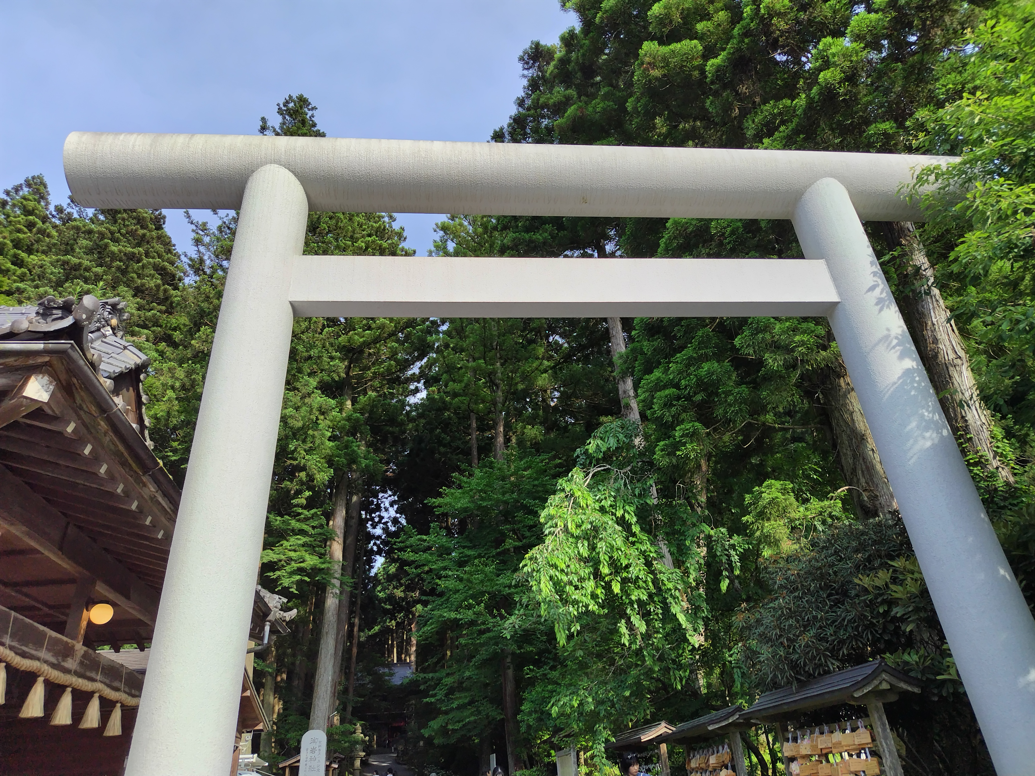 【水わらび】⭐️最強財運〜龍神様⭐️イケメン紫龍　ずっしり801g 水わらび様専用】⭐️最強財運〜龍神様⭐️イケメン紫龍