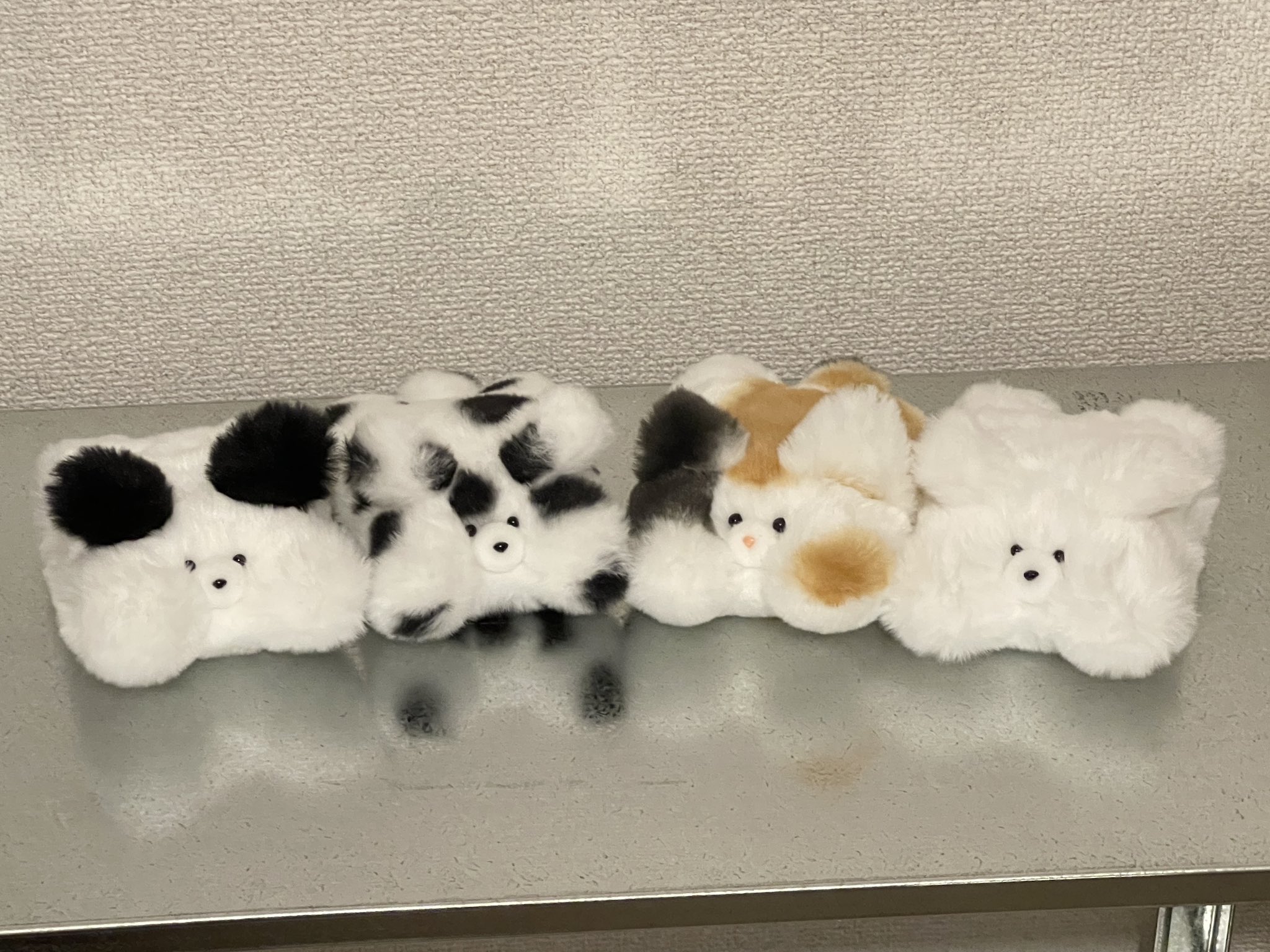 ぬいぐるみだっちゅ〜の♡
