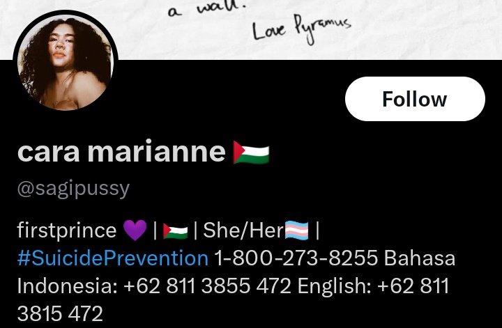 pekolar冬 tweet media