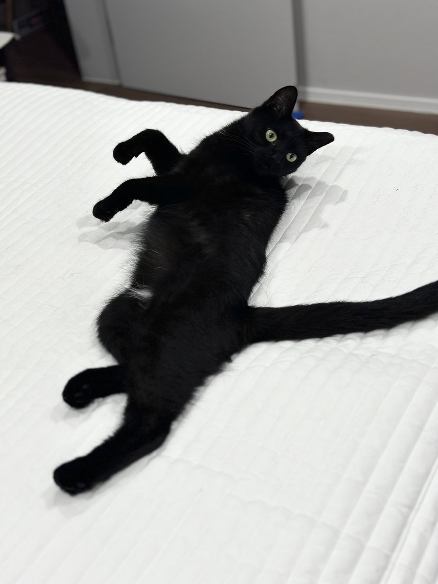 미카 키 크지 ◠ ̫◠