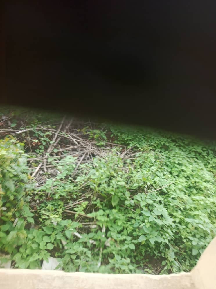 - A field visit to an #abandoned Primary #Health Centre (PHC) in Aiisu along Ikimo Road, left unused for over a decade. I'm currently engaging stakeholders to find pathways for its completion and activation.
