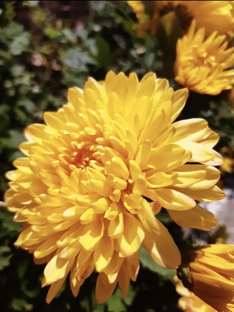 Kate Drawdy (@gummoxxx) on Twitter photo 