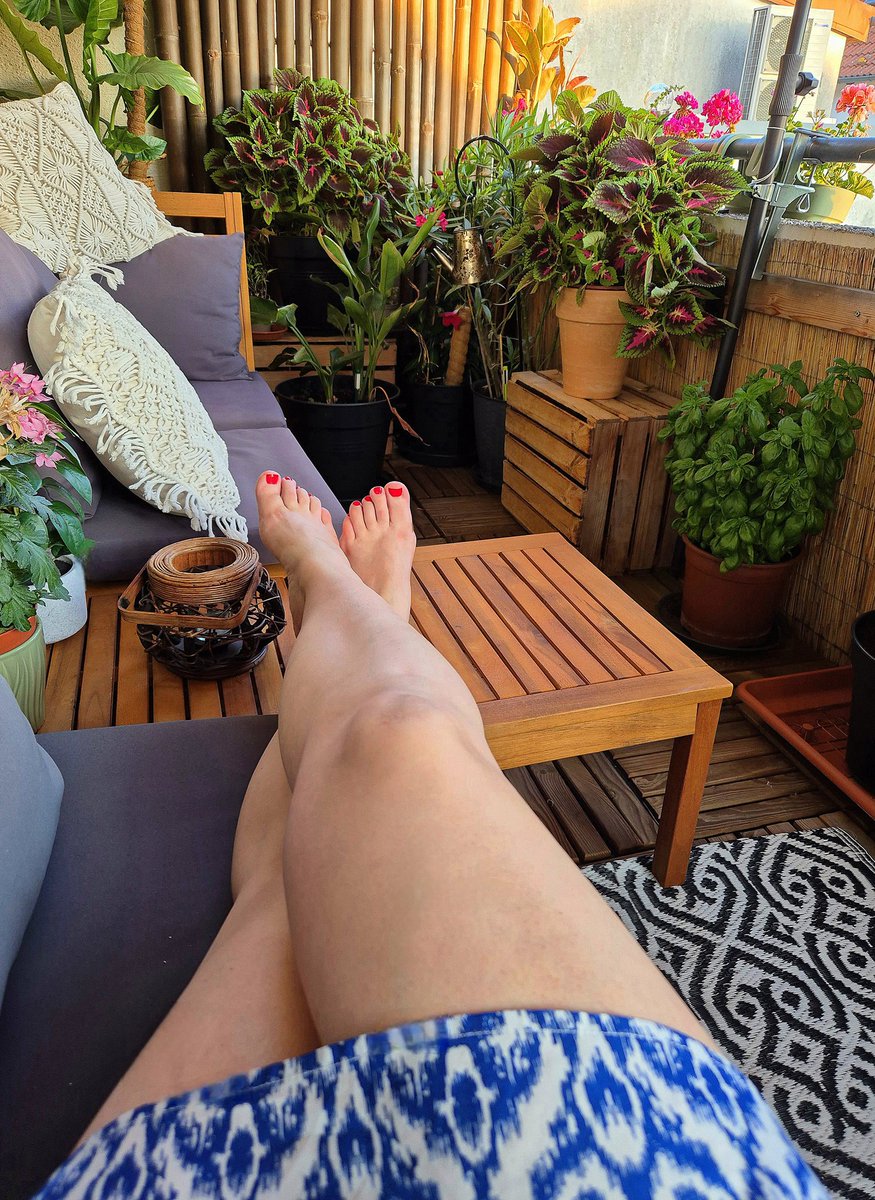 La mattina presto si sta freschi sul terrazzo. Ora non si resiste più.
🌡☀️