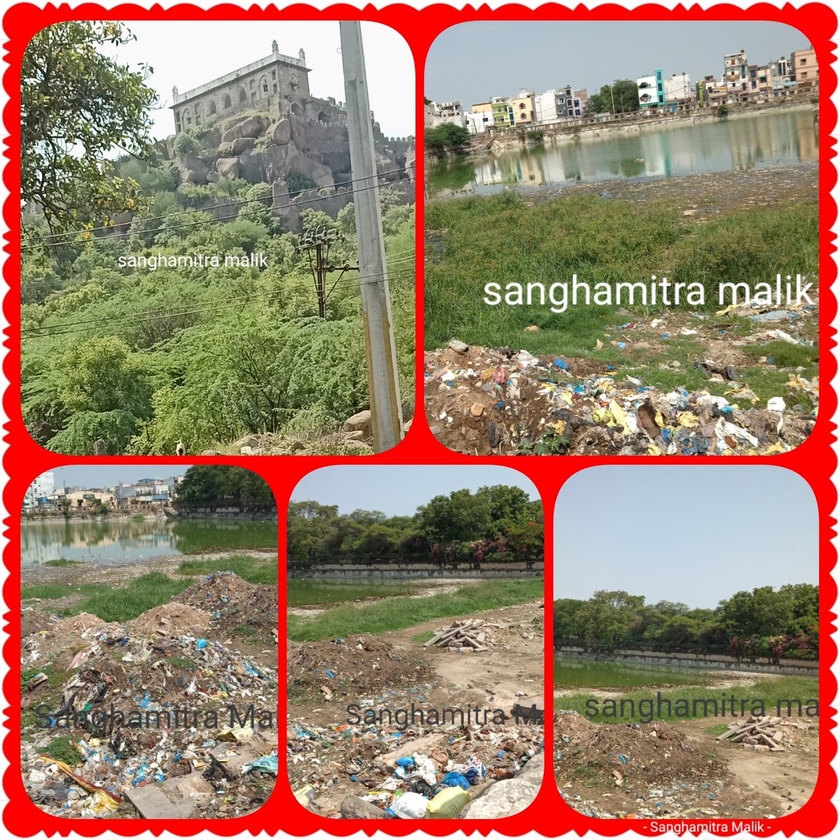 Sanghamitra Malik tweet media