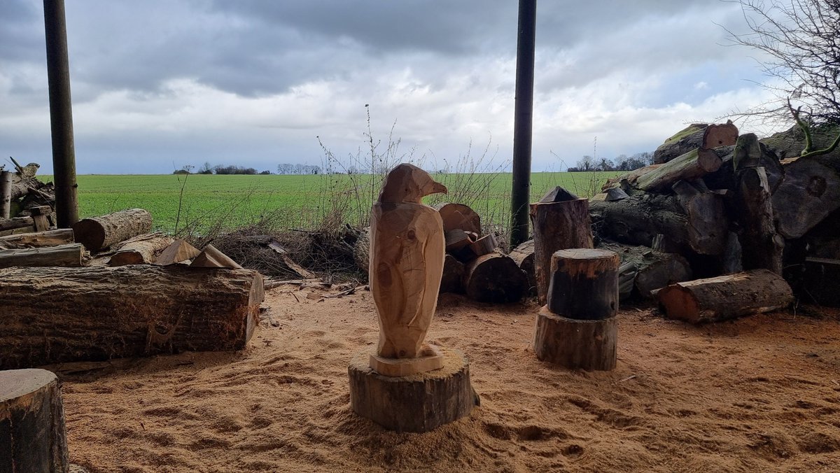 Carving under stormy skies!