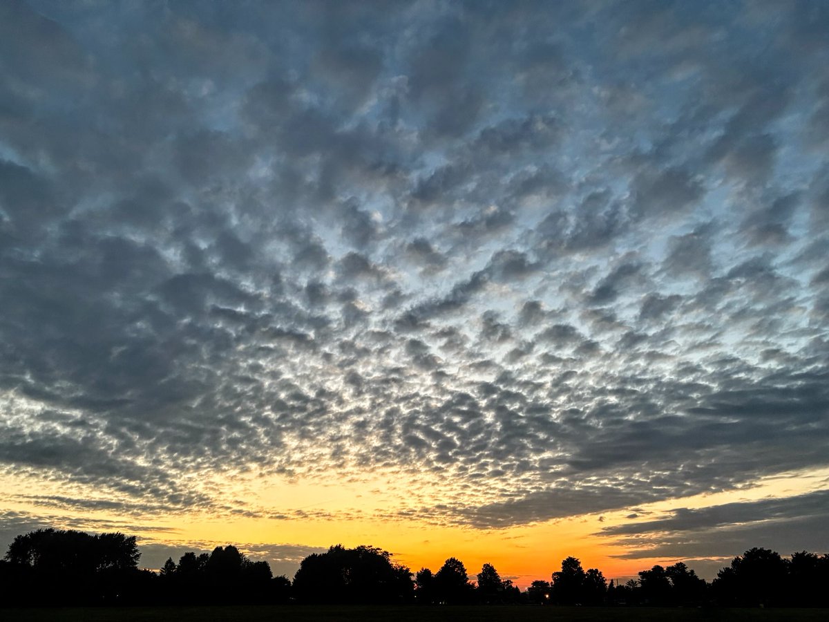 It was time to say one last goodbye to spring.

Never mind I watched while the dog nibbled the grass - or that it didn’t look all that different from any other sunset.

Milestones don’t always announce themselves with fanfare. Maybe just showing up is enough.

#ldnont #solstice