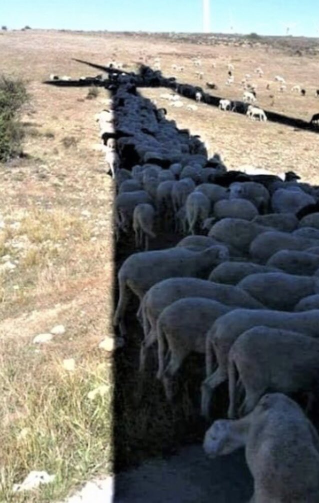 Trevor Fitzright (@t_fitzright) on Twitter photo 