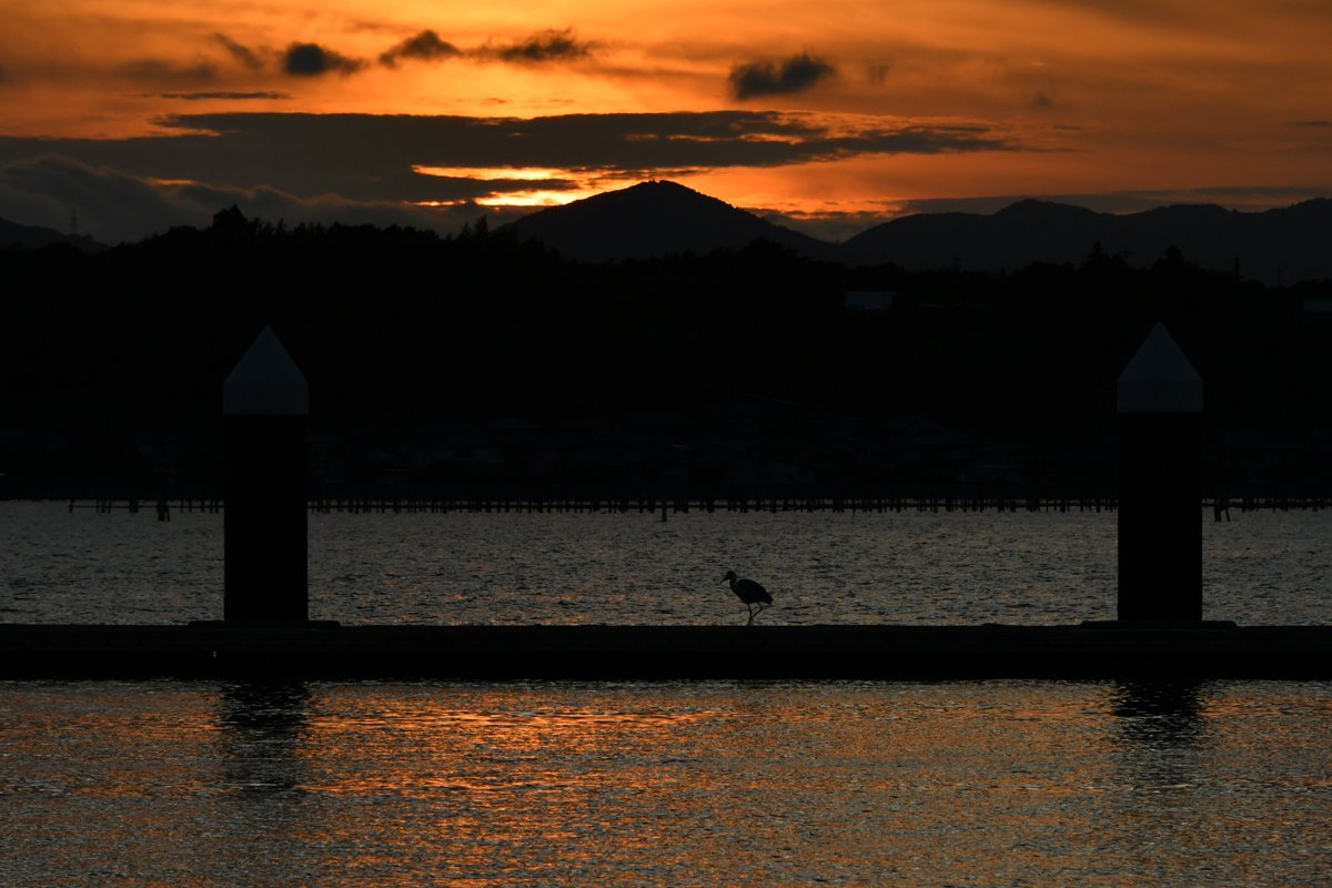 2025年6月21日
浜名湖
大人見の夕暮れ
June 21, 2025 Lake Hamana Otonami dusk
