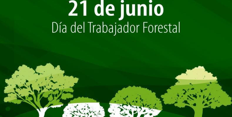 Celebramos este 21 de junio el Día del trabajador Forestal.
#CubaPorLaVida 
#GenteQueSuma 
#CienfuegosXMásVictorias