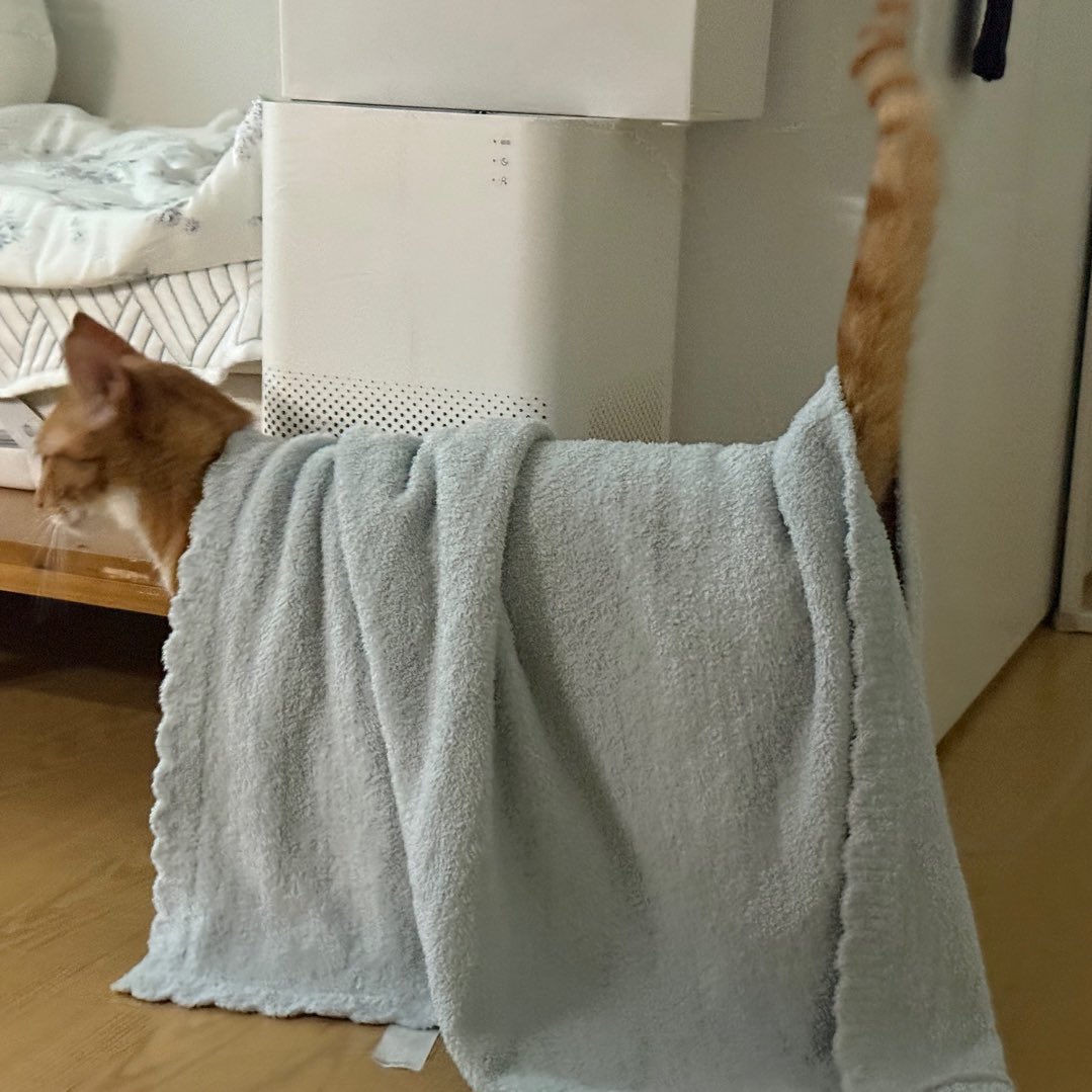 꽤 좋아한답니다