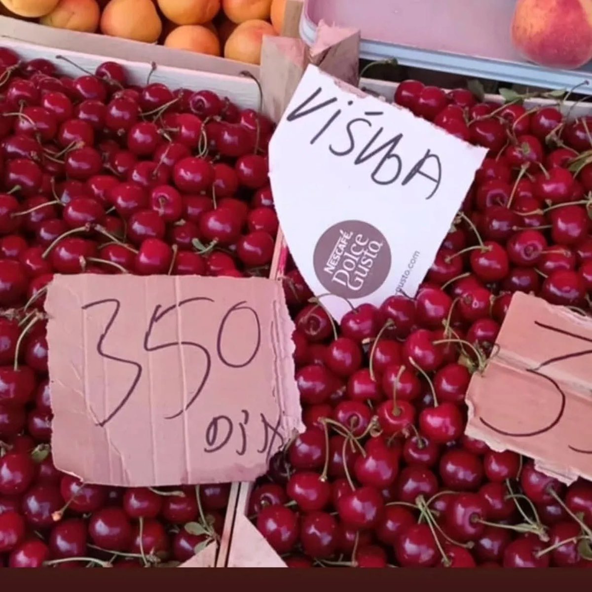 Dobrodošli u Ćacilend. 🤓