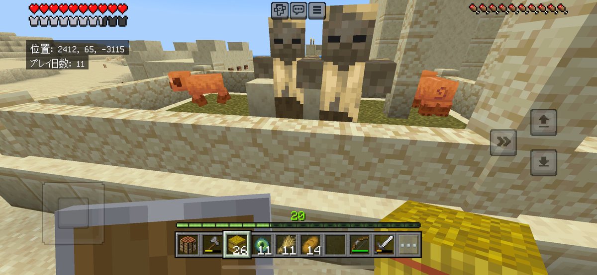君たち、、、なんと言うところにスポーンしたのか、たまたま入ってしまったのか。僕にしてあげられることは何も無いが、少なくとも人に危害を与えなかったんだ、きっと良い事あるよ。またな
#Minecraft #マイクラ #無害なハスク
