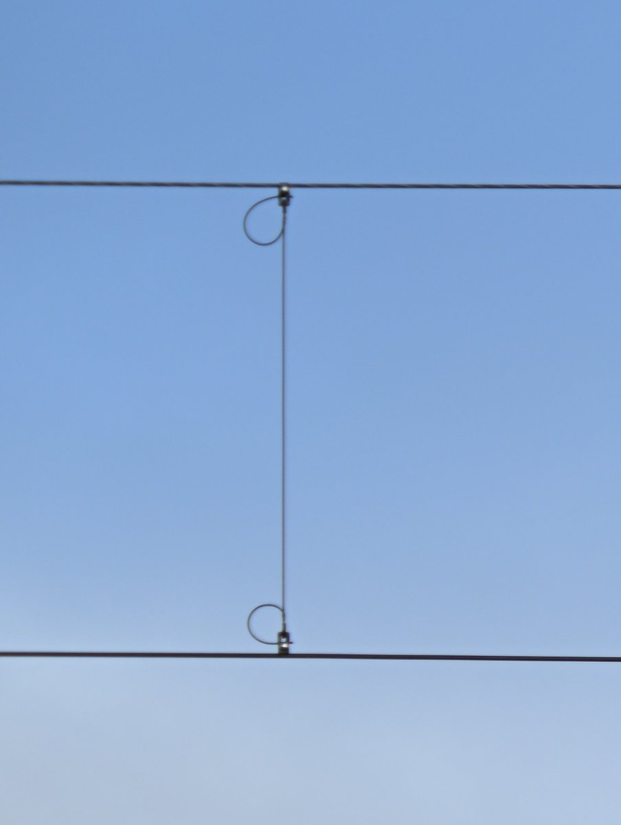 Noel Dolphin tweet media