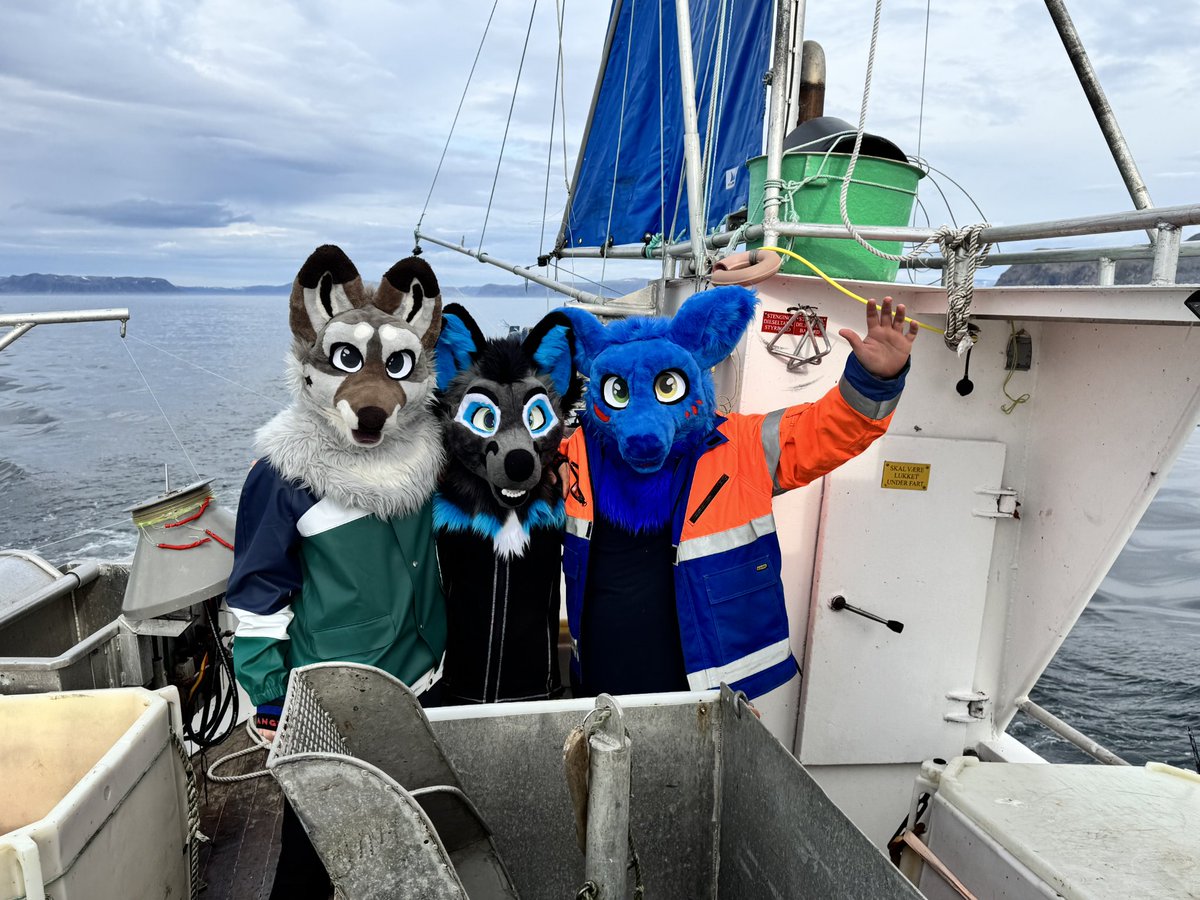 Hummer3311 tweet media