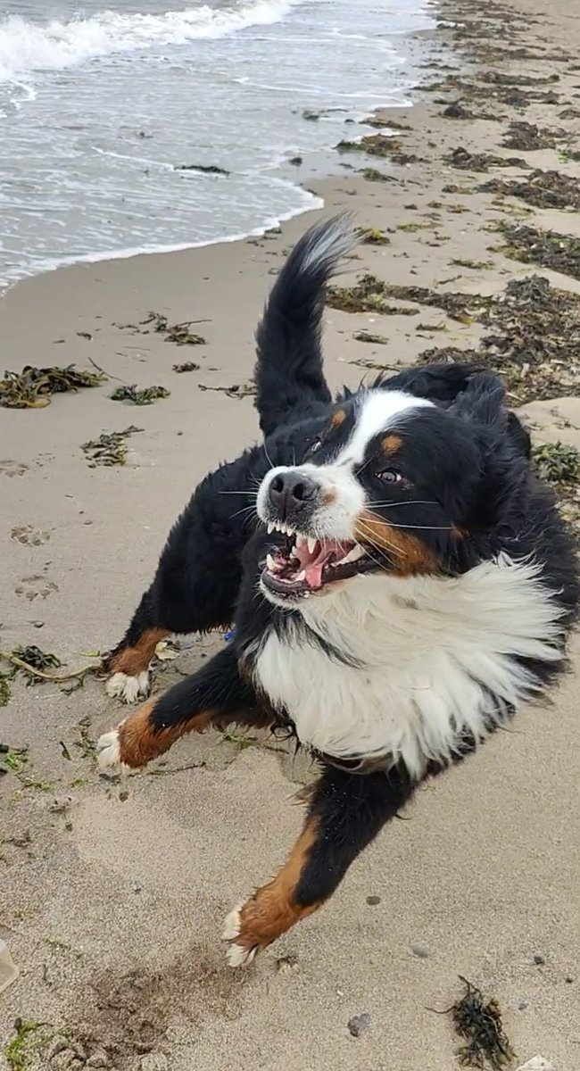 She is a delight to play with.... Honestly 🙈🤣