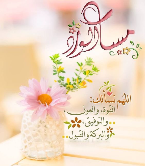 <a href="/alsalihynajat/">najatalsalihy</a> نعم عيوني 

 مساء الخير  للذين ينشرون الجمال ،
 في هذا العالم 🌷