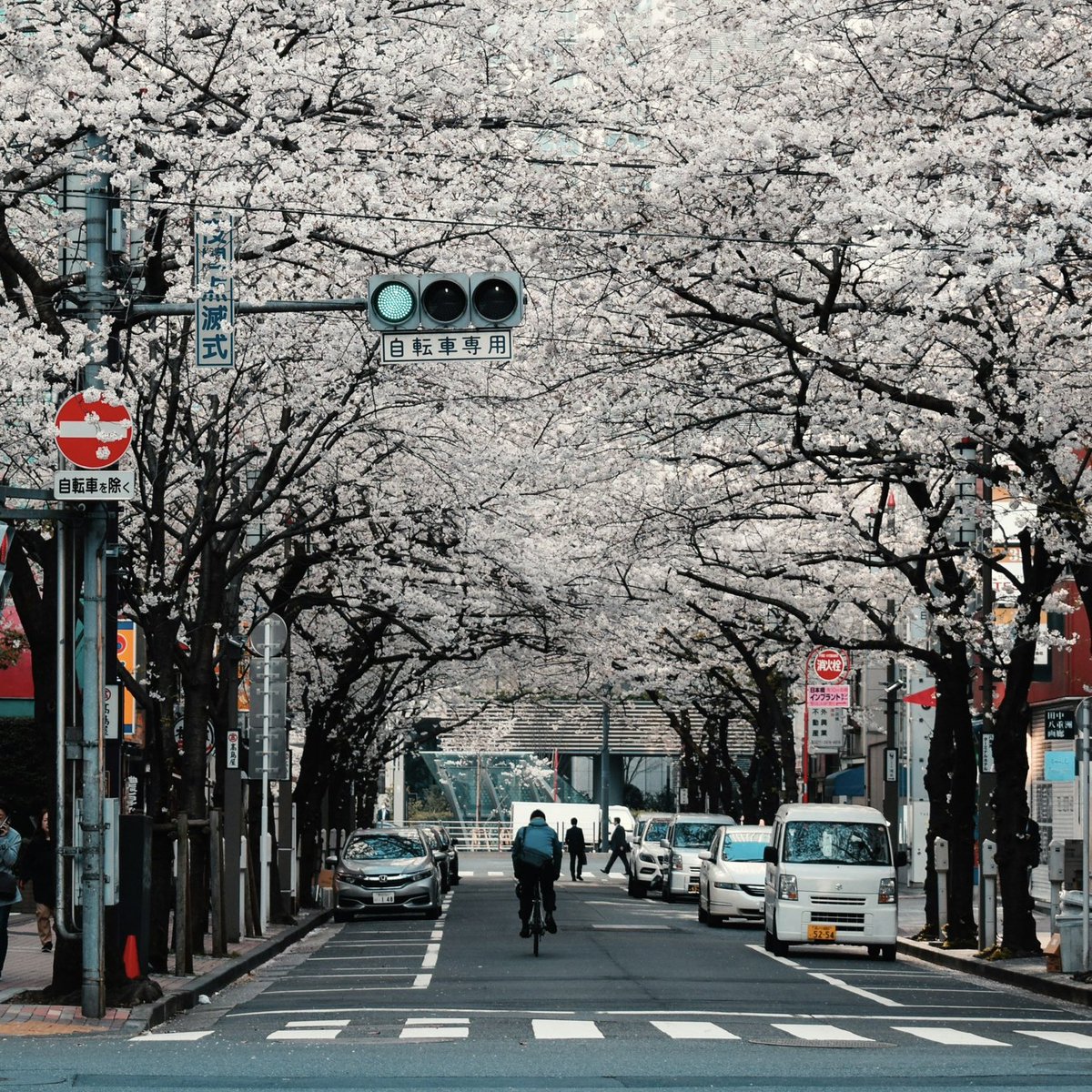 🔴 Japonya'da nüfusun azalması nedeniyle 9 milyondan fazla boş ev bulunuyor.