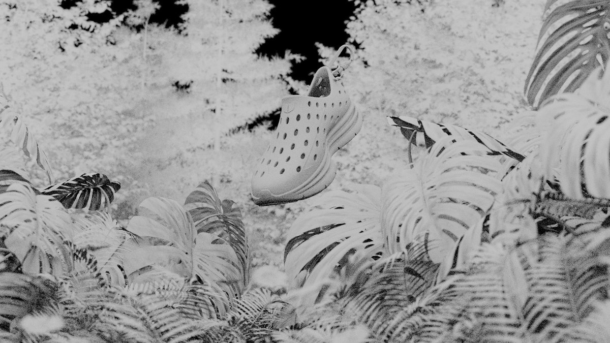 HALEEMWADEOFFICIAL tweet media