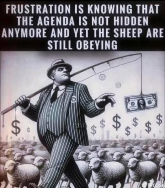 Today’s Democratic Party!