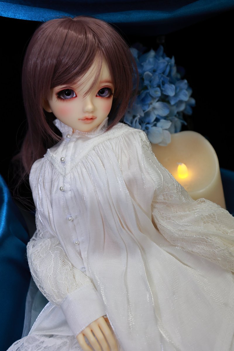 メルモさま CCS 21AN momoko 2nd | PW-momoko | PetWORKs