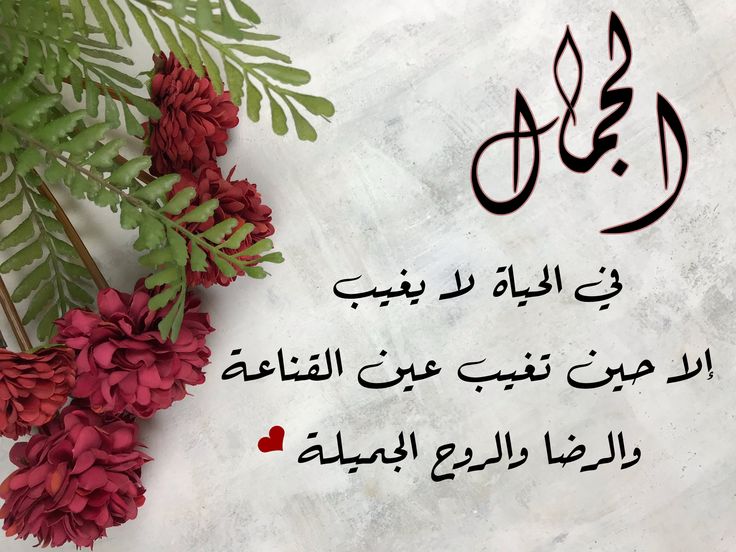 🔸 الجمال : 
👈 الجمال في الحياة لا يغيب إلا حين تغيب عين القناعة والرضا والروح الجميلة 🔸