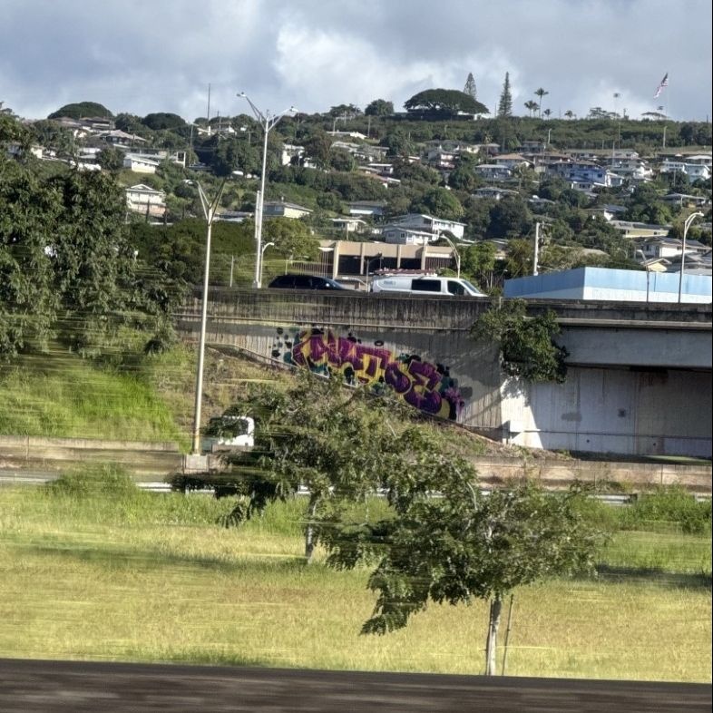 BombingScience's tweet image. We just went live with a new feature on @_altoe . Be sure to visit our link in bio. ⁠
⁠
#altoe #24k #bombingscience #graff #graffiti #graffitiart #letters #style #hawaii #hawaiigraffiti