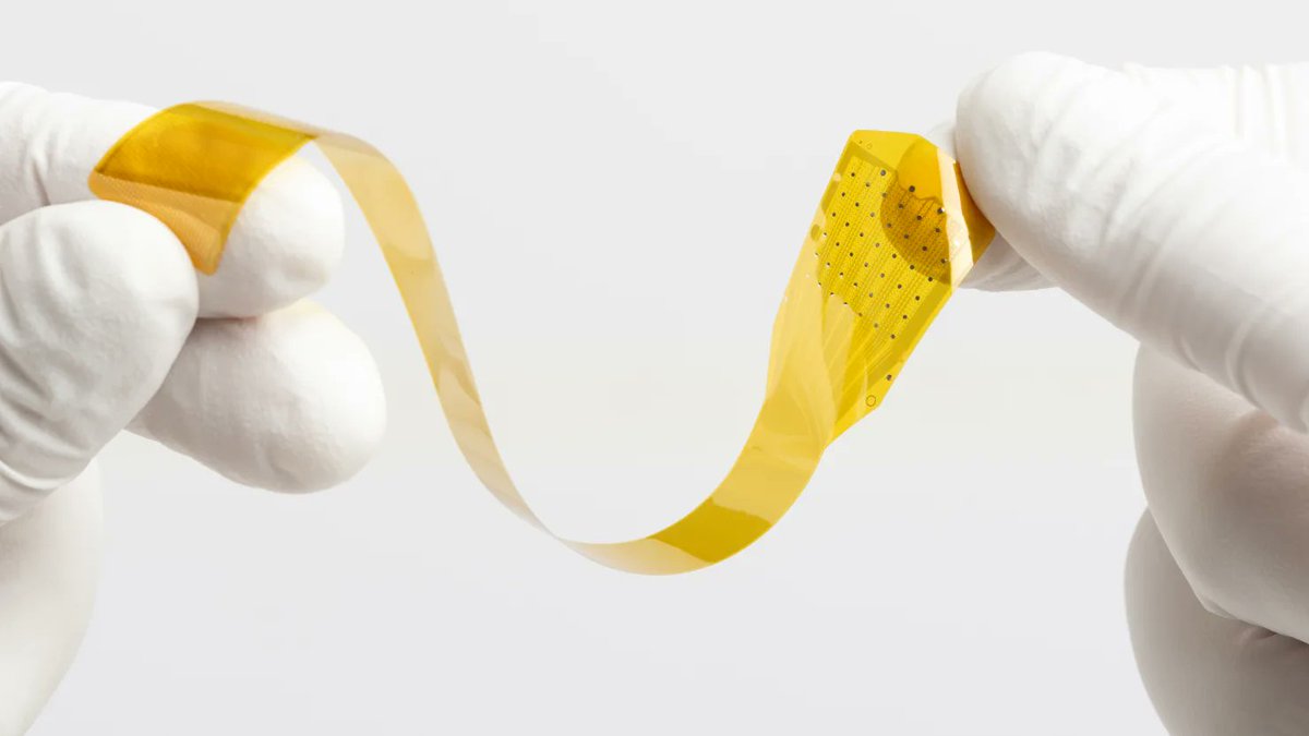 FDA approved brain computer interface!

Precision Neuro breaks from the pack to provide a less invasive alternative to Neurolink.

Smaller than a fingernail. Thinner than a human hair.

One of our most exciting investments is a 1.5cm brain implant by Precision Neuroscience