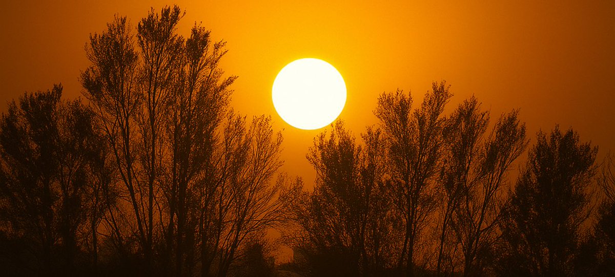 منظر الغروب أكثر منظر شاعرّي 🌅