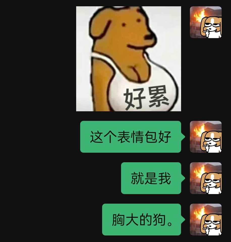 媒体预览