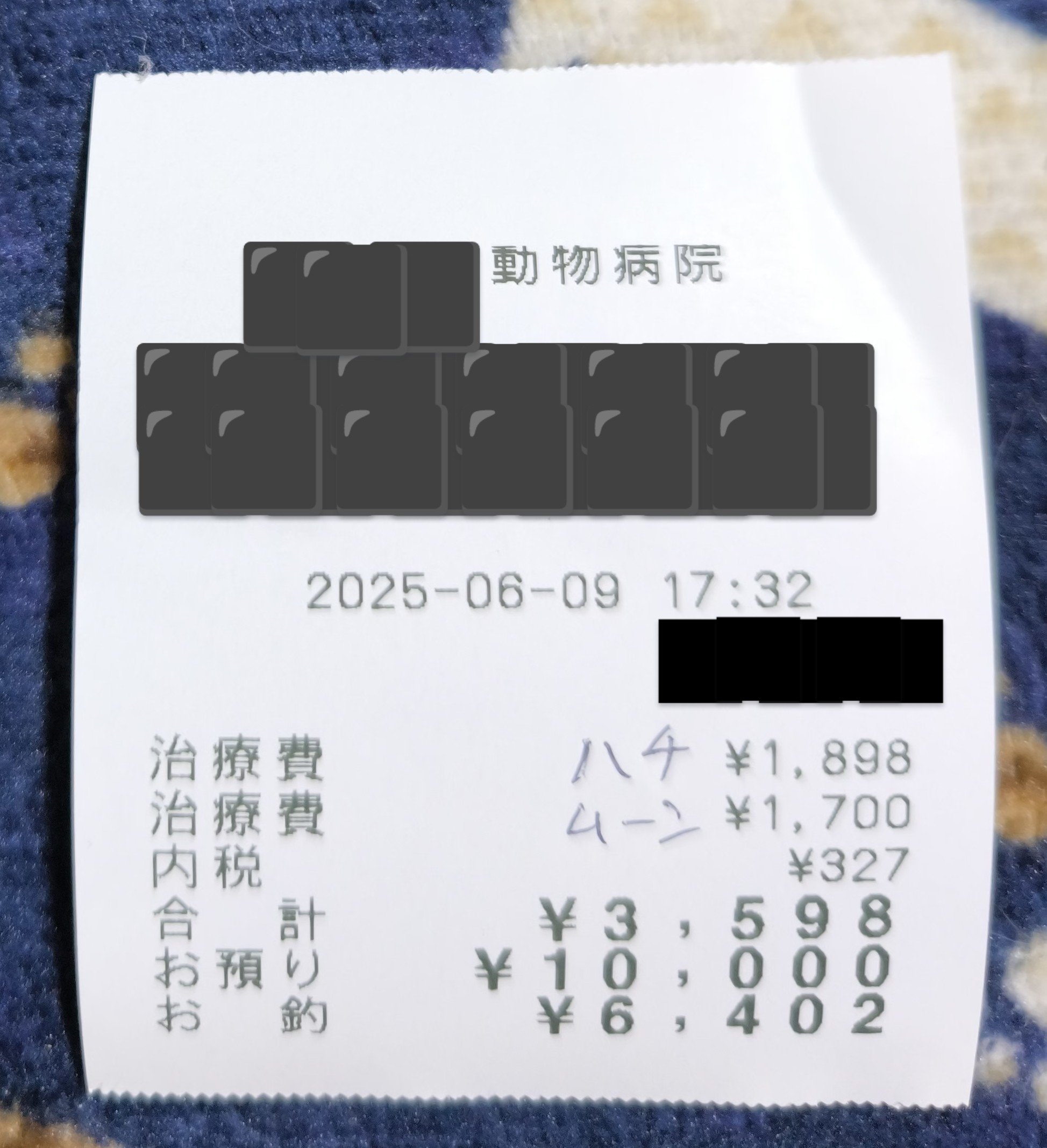 譲渡型保護ハウス日向ぼっこ 小野加代子 on X: 