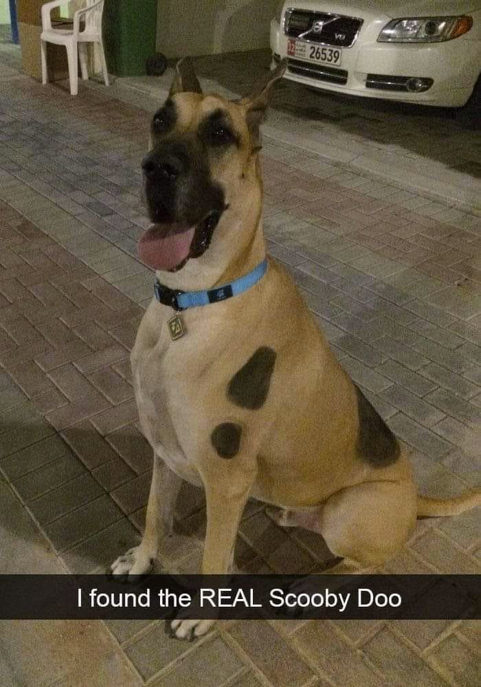 jaden (@liljay11k) on Twitter photo 