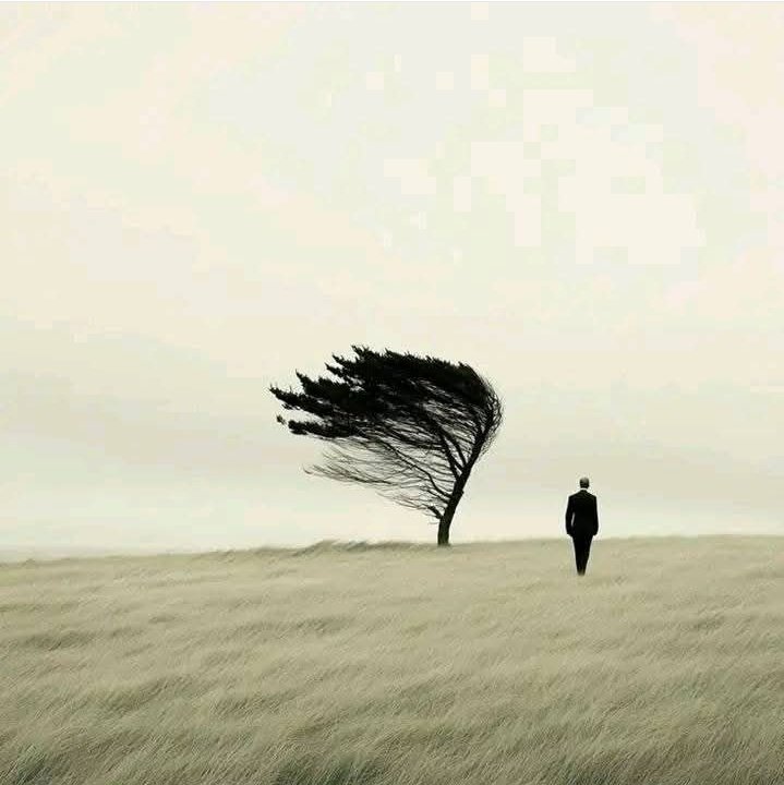 Good night!
Satisfy your soul not the society.
#ZeeshanMotives #NightVibes