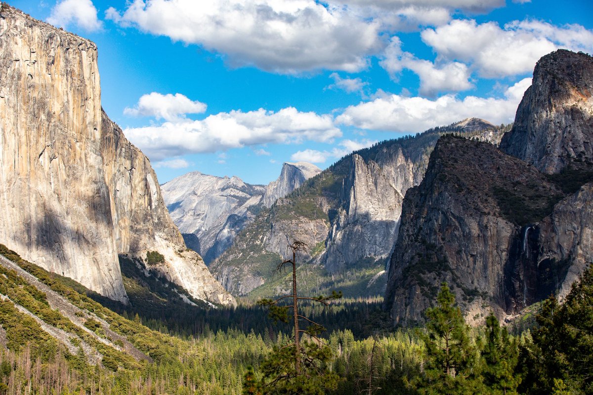 Ray Saltini tweet media