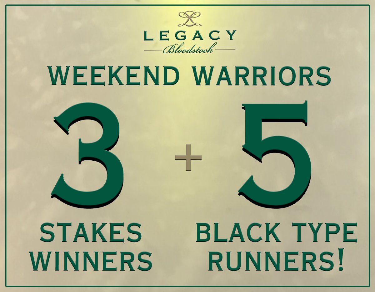 Legacy Bloodstock (@legacybloodstoc) on Twitter photo Well THAT was a weekend!
π π Huge congratulations &  thanks all of the Top Horsemen involved with the 8β£ Legacy Bloodstock Sales grads who won or placed Stakes over the past 3 days!
π° bit.ly/LegacyHugeWeekβ¦
#LegacyBuilders π π Well THAT was a weekend!
π π Huge congratulations &  thanks all of the Top Horsemen involved with the 8β£ Legacy Bloodstock Sales grads who won or placed Stakes over the past 3 days!
π° bit.ly/LegacyHugeWeekβ¦
#LegacyBuilders π π