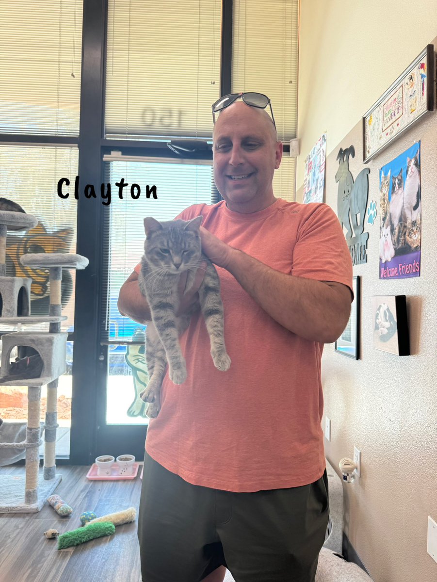 palnv1's tweet photo. Congrats to these kitties for finding their new furrever homes! https://t.co/10UcZ1UVqM