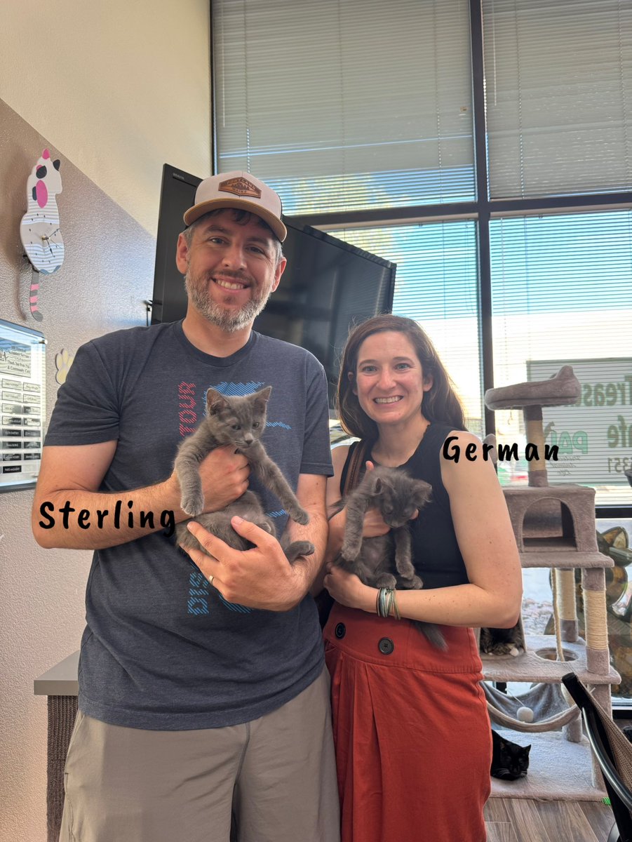 palnv1's tweet photo. Congrats to these kitties for finding their new furrever homes! https://t.co/10UcZ1UVqM