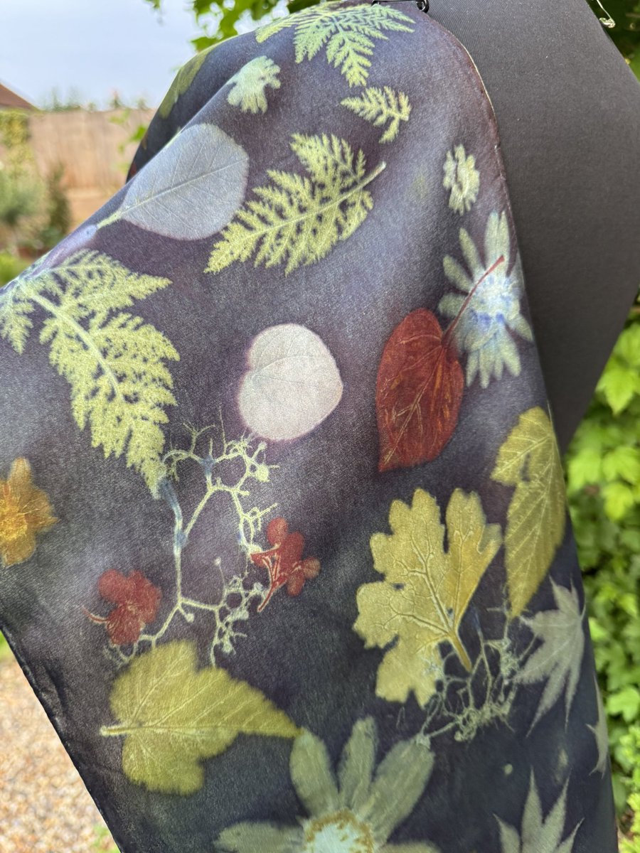 Jane Goodall tweet media