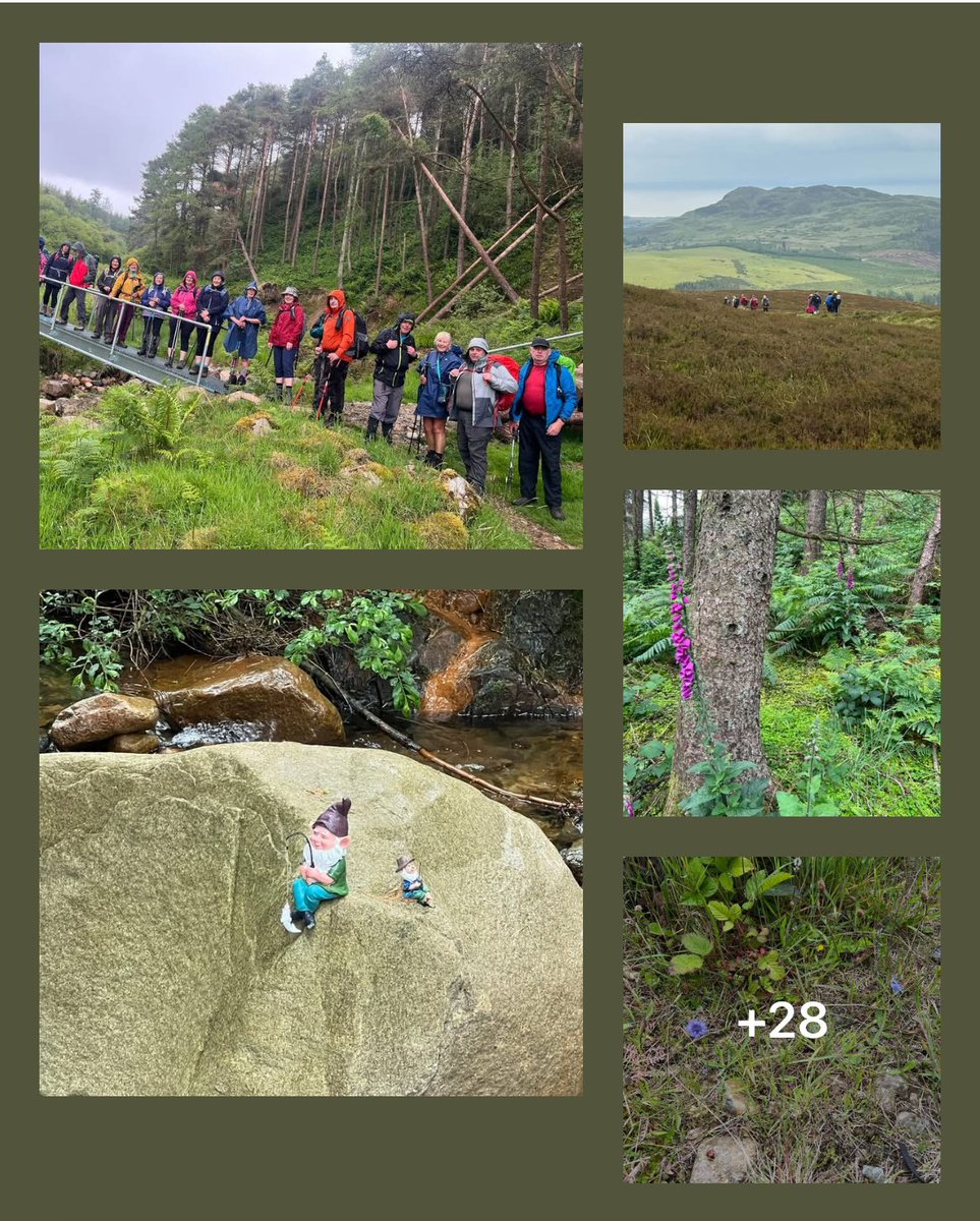 C group walk, Round Mountain Cooley Mountains. Welcome to the new walkers who joined us today, hopefully we will see you next time…
Next walk- Sunday, 22nd June, Camlough Mountain, Ring of Gullion