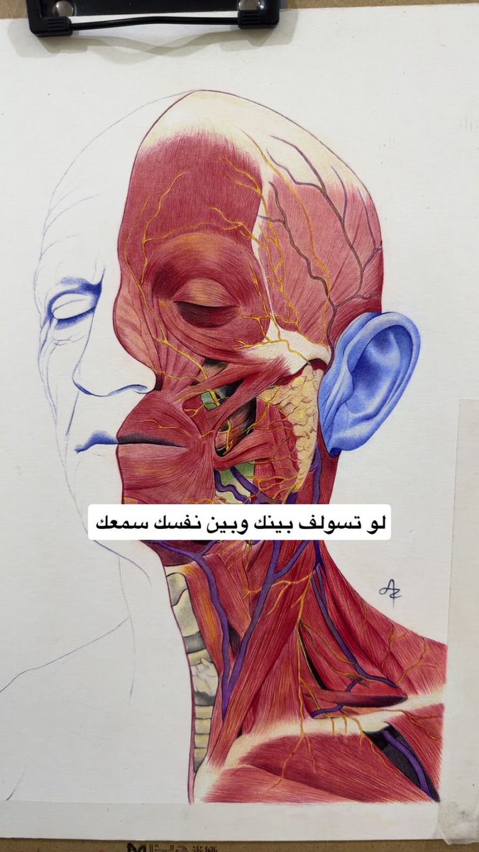 عَزيز tweet media