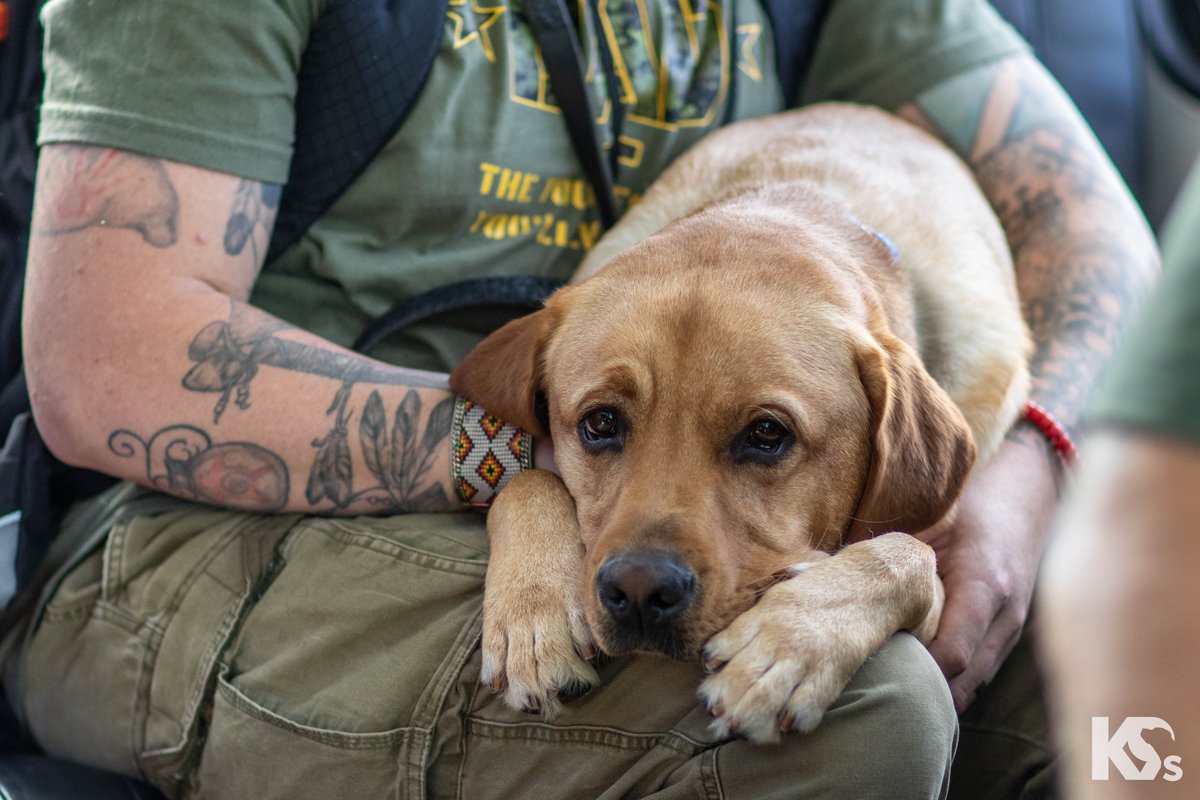 Twenty head injuries. Three deployments. Endless battle scars. 

Harold survived more than 20 head injuries from IEDs, mortars, grenades &amp; RPG attacks. He's been told he’s a walking miracle.

PTSD, traumatic brain injuries &amp; other health issues made daily life nearly impossible.