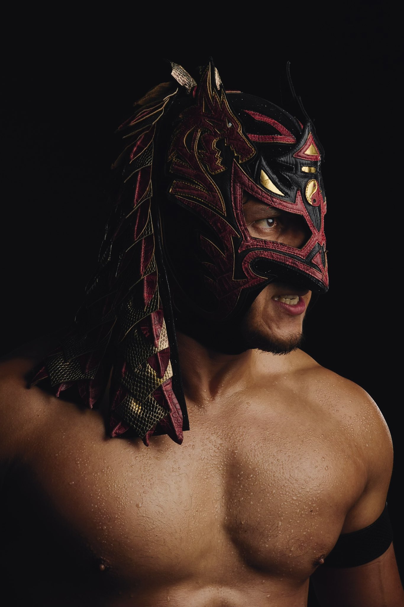 WWE ドラゴン・リー 写真：ドラゴン・リーが米WWEと契約 高橋ヒロムのライバル