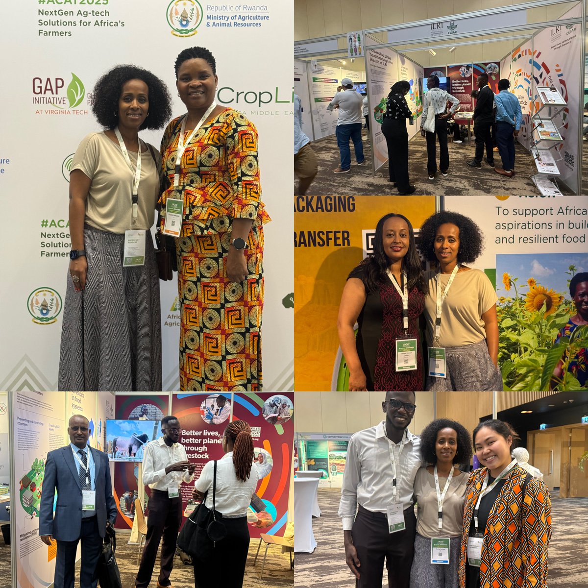 Tsehay Gashaw tweet media